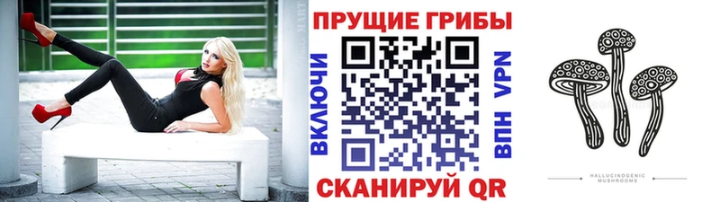 Галлюциногенные грибы Cubensis  Нижнекамск 