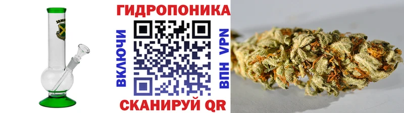 Канабис Bruce Banner  MEGA как войти  Нижнекамск 